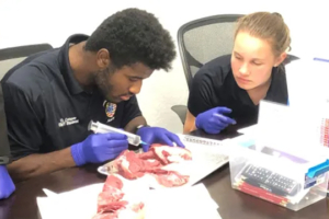 Continuing Education (CEU) - Medical Career Academy (MCA) | EMT ...